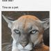 Tina Harder - Facebook