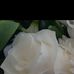 Tina Harder - Facebook