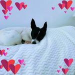 Tina Hatch - @hatch7287 - Instagram