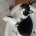 Tina Heps - Facebook
