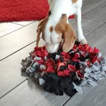 Tina Helm - @louloubalous_schnuffelwelt - Instagram