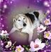 Tina Helm - Facebook