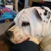 tinahelman137 - @tinahelman137 - TikTok