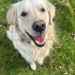 Tina Higgins - @tinahiggins2632 - Instagram