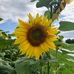 Tina Hinder - Facebook