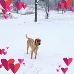 Tina Hook - @tina.hook.14 - Instagram