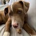 Tina Howse - Facebook