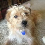 Tina Jessee - @tina_dillonmom - Instagram