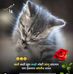 Tina Kale - Facebook