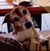 Tina Karle - Facebook