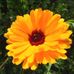 Tina Keller - Facebook