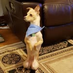 Tina Gudmunson Kincheloe - @tinakincheloe - Instagram