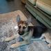 Tina Kinch - Facebook