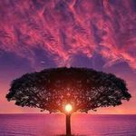 Tina Kirkpatrick - @tina.kirkpatrick.942 - Instagram