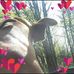 Tina Kirkpatrick - Facebook