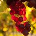 Tina Kirsch - Facebook