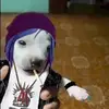Tina Tuff Knuckles - @hella_cool3 - TikTok