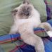 Tina Kuo - Facebook
