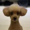 天 - @tinakuo6w657 - TikTok