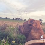 Tina - @tina_la__starlette - Instagram