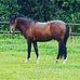 Tina Latchford - Facebook