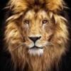 Tina Layman - @tina.layman - TikTok