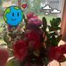Donna Learned - Facebook