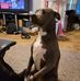 Tina Merritt Linder - Facebook