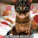Tina Link - @martina.paluthe - Instagram