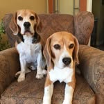 Tina Lowery - @tlowery73 - Instagram