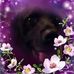 Tina Luttrell - Facebook