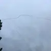 Tina  - @tina.ly__ - TikTok
