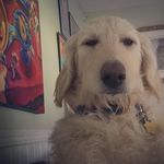 Tina Collett Mackey - @gooska89 - Instagram