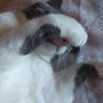@tina_mancuso_75 - Instagram
