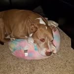 Tina Mancuso - @tman4b1g - Instagram