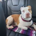 Tina Maple - @tina.maple.54 - Instagram
