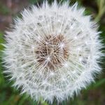 Tina Lindmarker - @tinalindmarker - Instagram