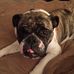 Diana Markowitz - Facebook