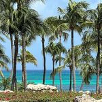 Tina Catalfano Marks - @tinamarks78 - Instagram