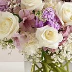Tina Marks - Facebook