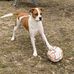Tina Mears - Facebook