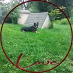 Tina Mistretta - @tina.mistretta.1 - Instagram