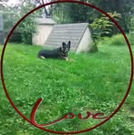 Tina Mistretta - Facebook