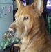 Tina Mobley - Facebook