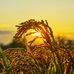 Tina Moore - Facebook