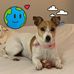 Tina Alexander Moriarty - Facebook