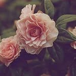 ... - @_tina_naderi_ - Instagram