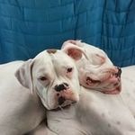 Tina Ness - @tina.ness.904 - Instagram