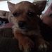 Tina Nickerson - Facebook