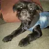 Tina Nickerson - @tina.nickerson7 - TikTok